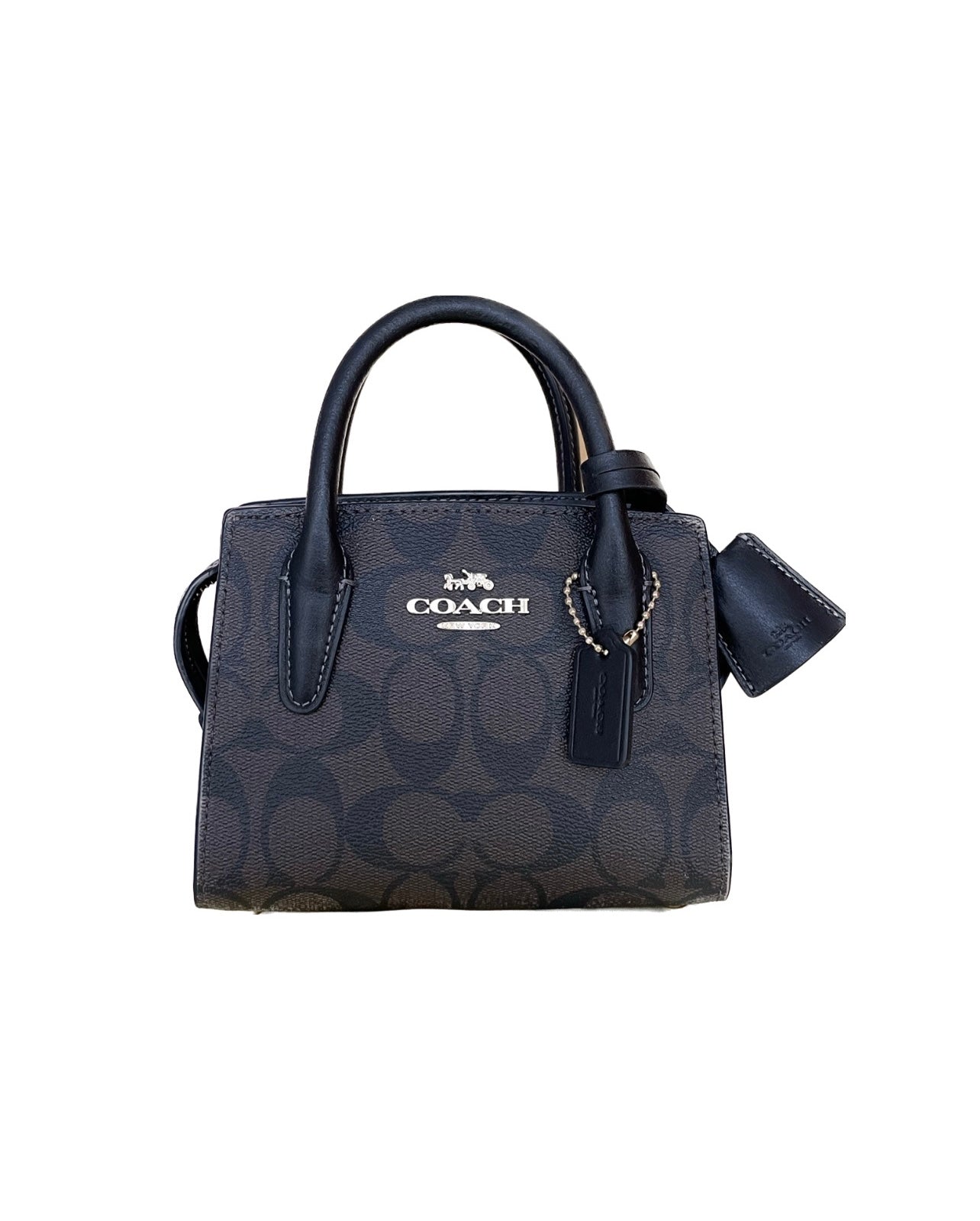 Coach Mini Carryall