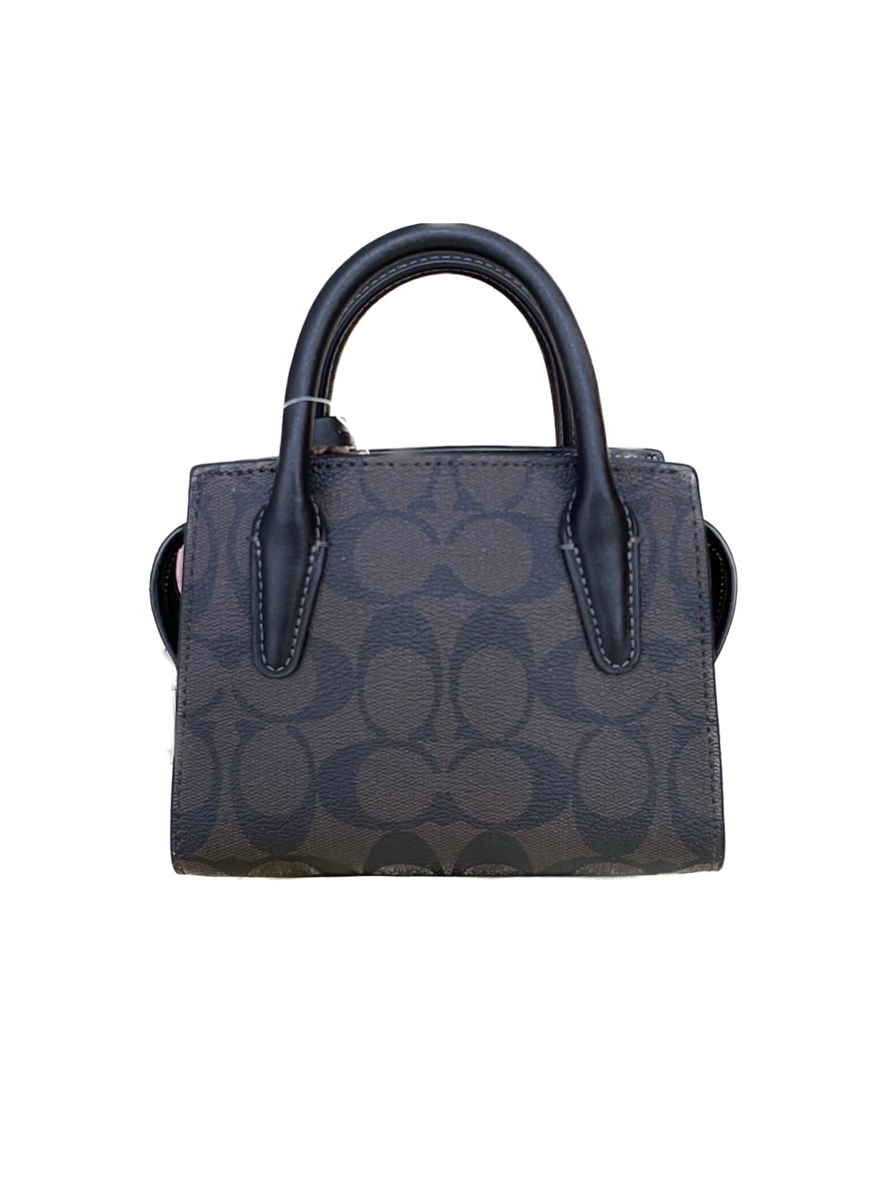 Coach Mini Carryall