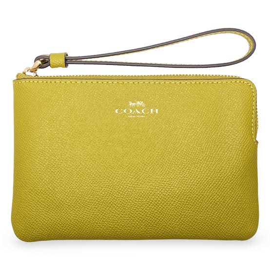 Coach Wristlet Small
