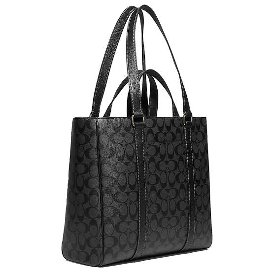 Coach Hudson bag